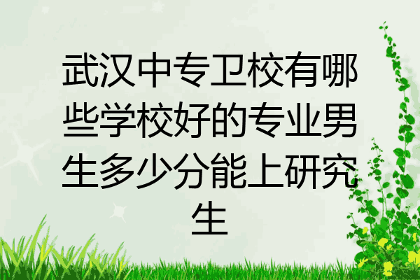 武汉中专卫校有哪些学校好的专业男生多少分能上研究生