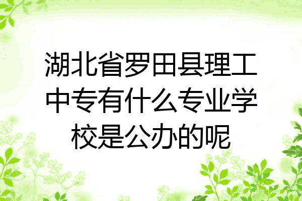 湖北省罗田县理工中专有什么专业学校是公办的呢