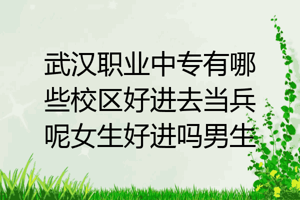 武汉职业中专有哪些校区好进去当兵呢女生好进吗男生