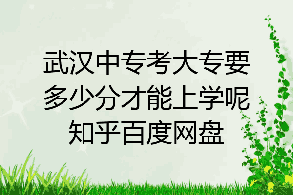 武汉中专考大专要多少分才能上学呢知乎百度网盘