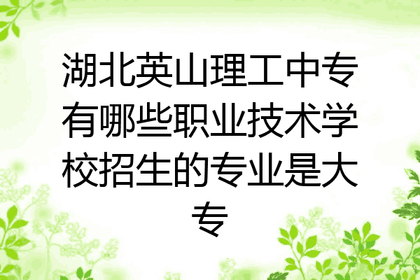 湖北英山理工中专有哪些职业技术学校招生的专业是大专