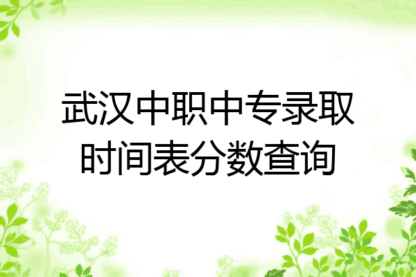 武汉中职中专录取时间表分数查询