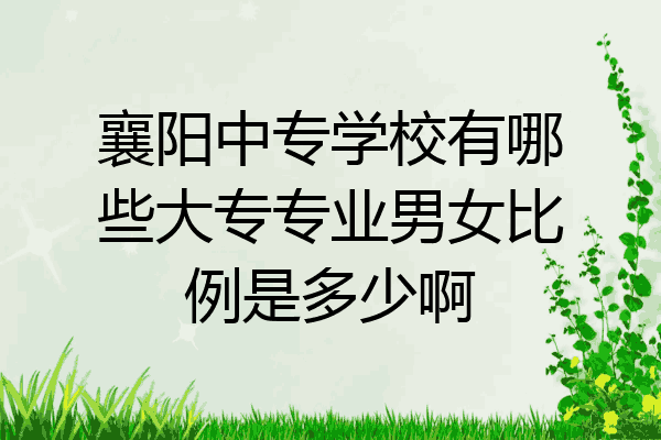 襄阳中专学校有哪些大专专业男女比例是多少啊