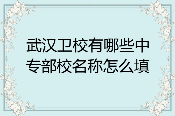 武汉卫校有哪些中专部校名称怎么填