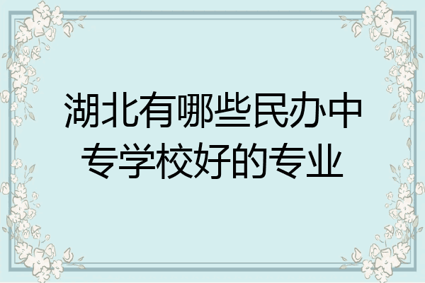 湖北有哪些民办中专学校好的专业
