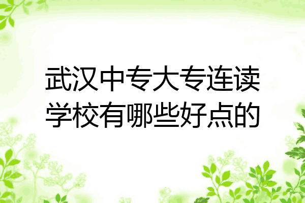 武汉中专大专连读学校有哪些好点的