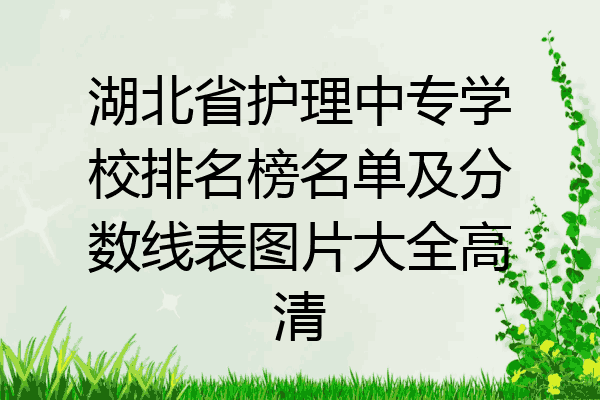 湖北省护理中专学校排名榜名单及分数线表图片大全高清