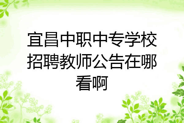 宜昌中职中专学校招聘教师公告在哪看啊