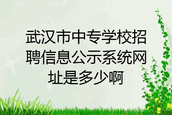 武汉市中专学校招聘信息公示系统网址是多少啊