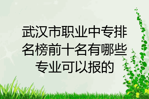 武汉市职业中专排名榜前十名有哪些专业可以报的