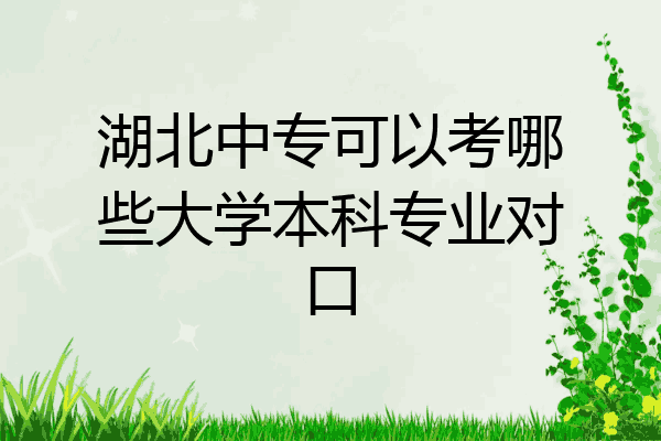 湖北中专可以考哪些大学本科专业对口