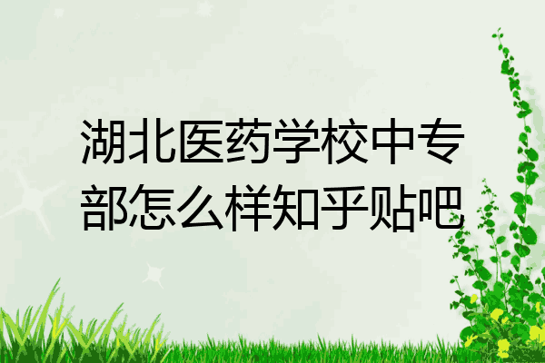 湖北医药学校中专部怎么样知乎贴吧