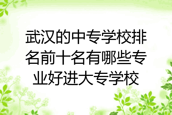 武汉的中专学校排名前十名有哪些专业好进大专学校