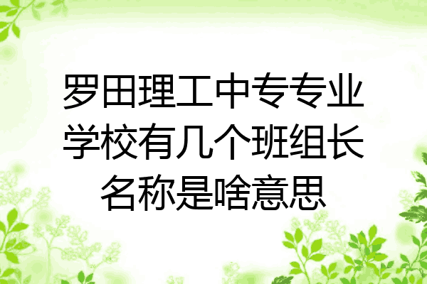 罗田理工中专专业学校有几个班组长名称是啥意思