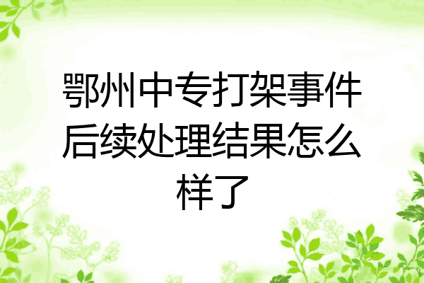 鄂州中专打架事件后续处理结果怎么样了