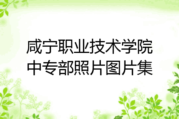 咸宁职业技术学院中专部照片图片集