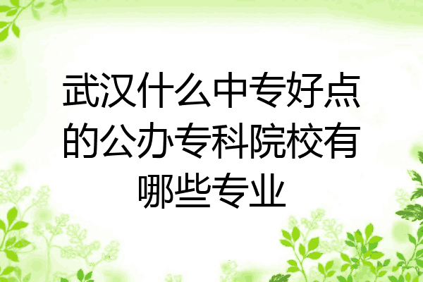 武汉什么中专好点的公办专科院校有哪些专业