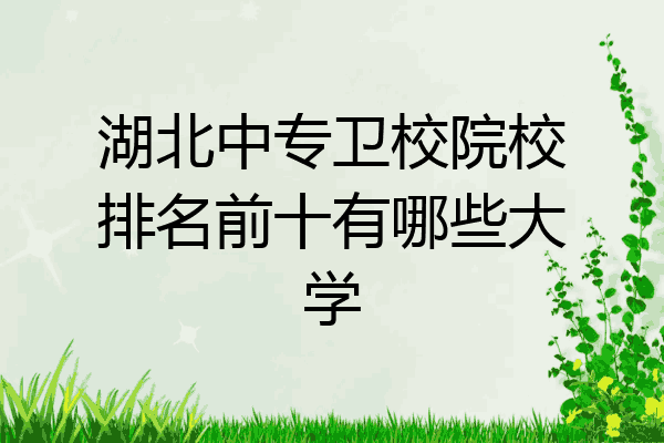 湖北中专卫校院校排名前十有哪些大学