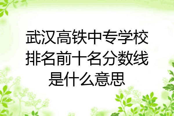 武汉高铁中专学校排名前十名分数线是什么意思