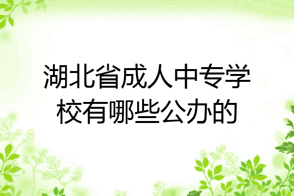 湖北省成人中专学校有哪些公办的