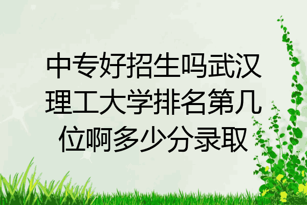 中专好招生吗武汉理工大学排名第几位啊多少分录取