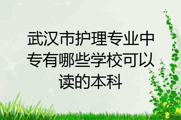 武汉市护理专业中专有哪些学校可以读的本科