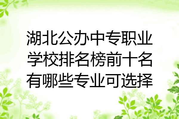 湖北公办中专职业学校排名榜前十名有哪些专业可选择