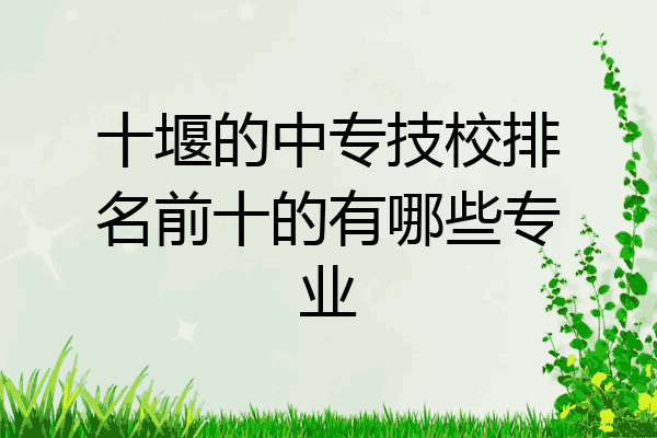 十堰的中专技校排名前十的有哪些专业