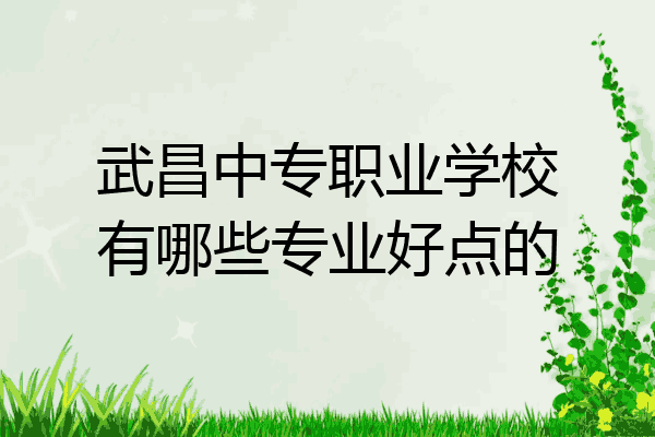 武昌中专职业学校有哪些专业好点的