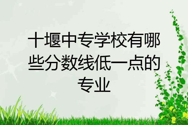 十堰中专学校有哪些分数线低一点的专业