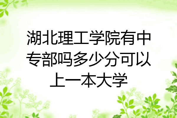 湖北理工学院有中专部吗多少分可以上一本大学