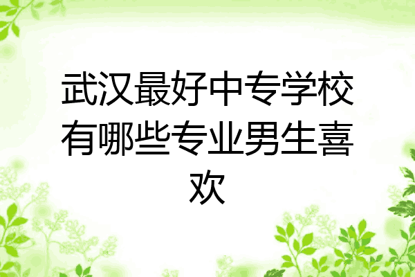 武汉最好中专学校有哪些专业男生喜欢