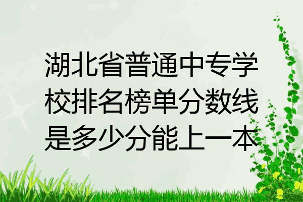 湖北省普通中专学校排名榜单分数线是多少分能上一本
