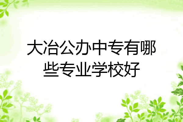 大冶公办中专有哪些专业学校好