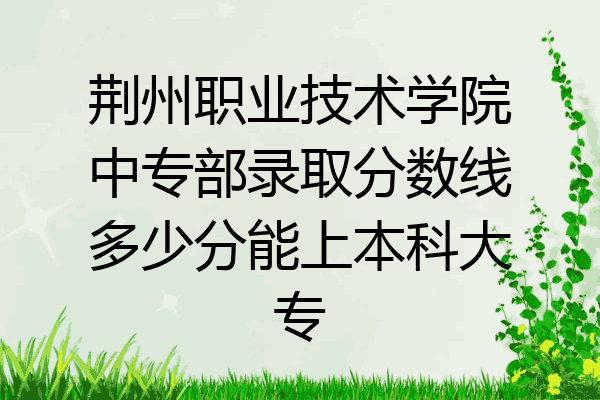 荆州职业技术学院中专部录取分数线多少分能上本科大专