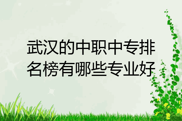 武汉的中职中专排名榜有哪些专业好