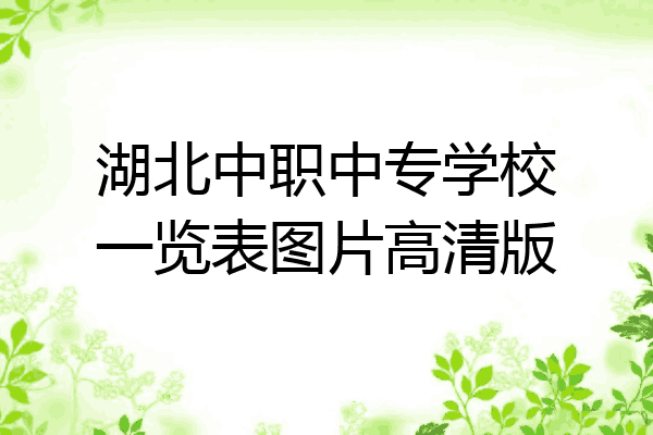 湖北中职中专学校一览表图片高清版