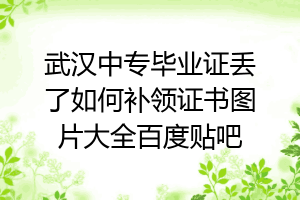 武汉中专毕业证丢了如何补领证书图片大全百度贴吧
