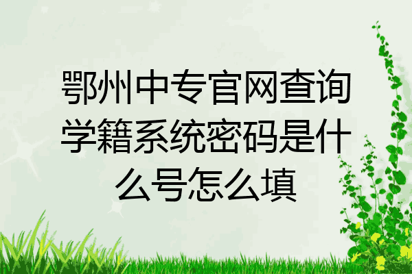 鄂州中专官网查询学籍系统密码是什么号怎么填