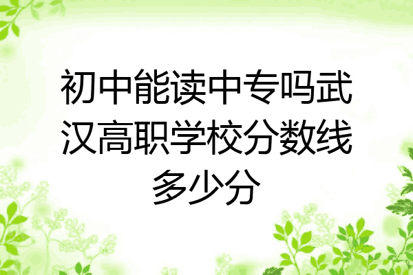 初中能读中专吗武汉高职学校分数线多少分