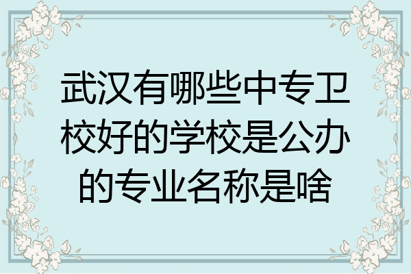 武汉有哪些中专卫校好的学校是公办的专业名称是啥