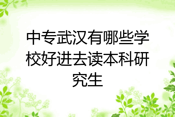中专武汉有哪些学校好进去读本科研究生