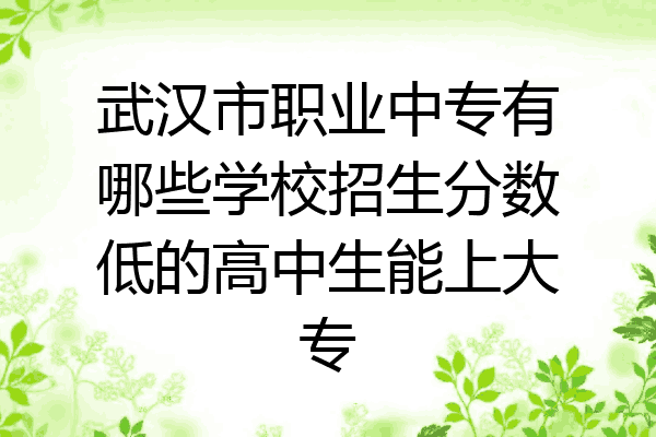 武汉市职业中专有哪些学校招生分数低的高中生能上大专