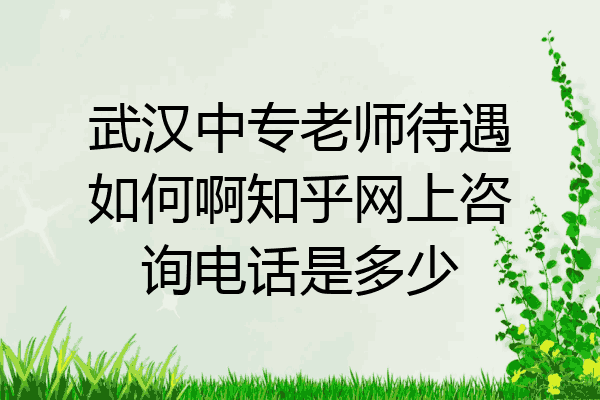 武汉中专老师待遇如何啊知乎网上咨询电话是多少