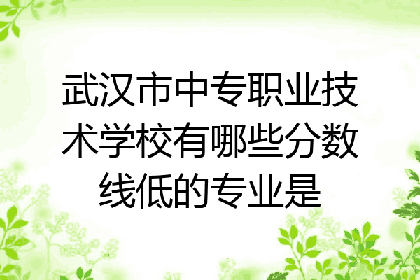 武汉市中专职业技术学校有哪些分数线低的专业是