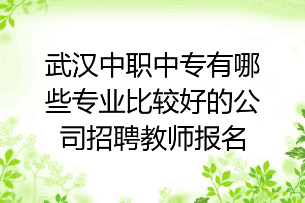 武汉中职中专有哪些专业比较好的公司招聘教师报名