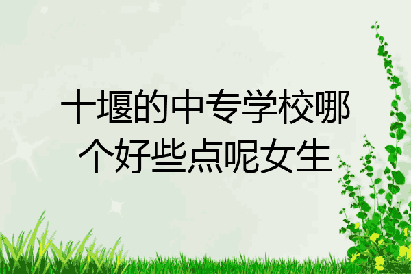 十堰的中专学校哪个好些点呢女生
