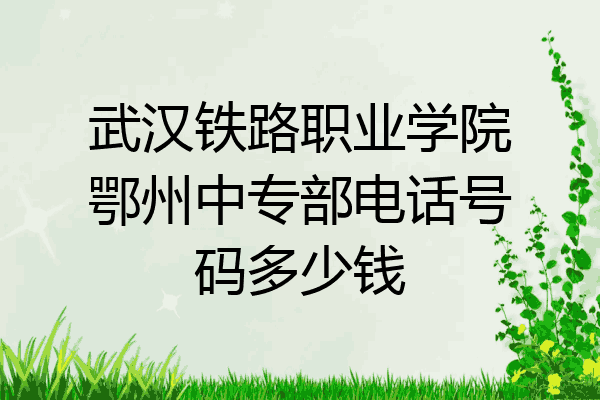 武汉铁路职业学院鄂州中专部电话号码多少钱