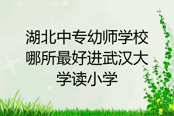 湖北中专幼师学校哪所最好进武汉大学读小学