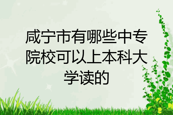 咸宁市有哪些中专院校可以上本科大学读的